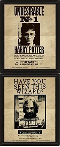 Posters de Harry potter