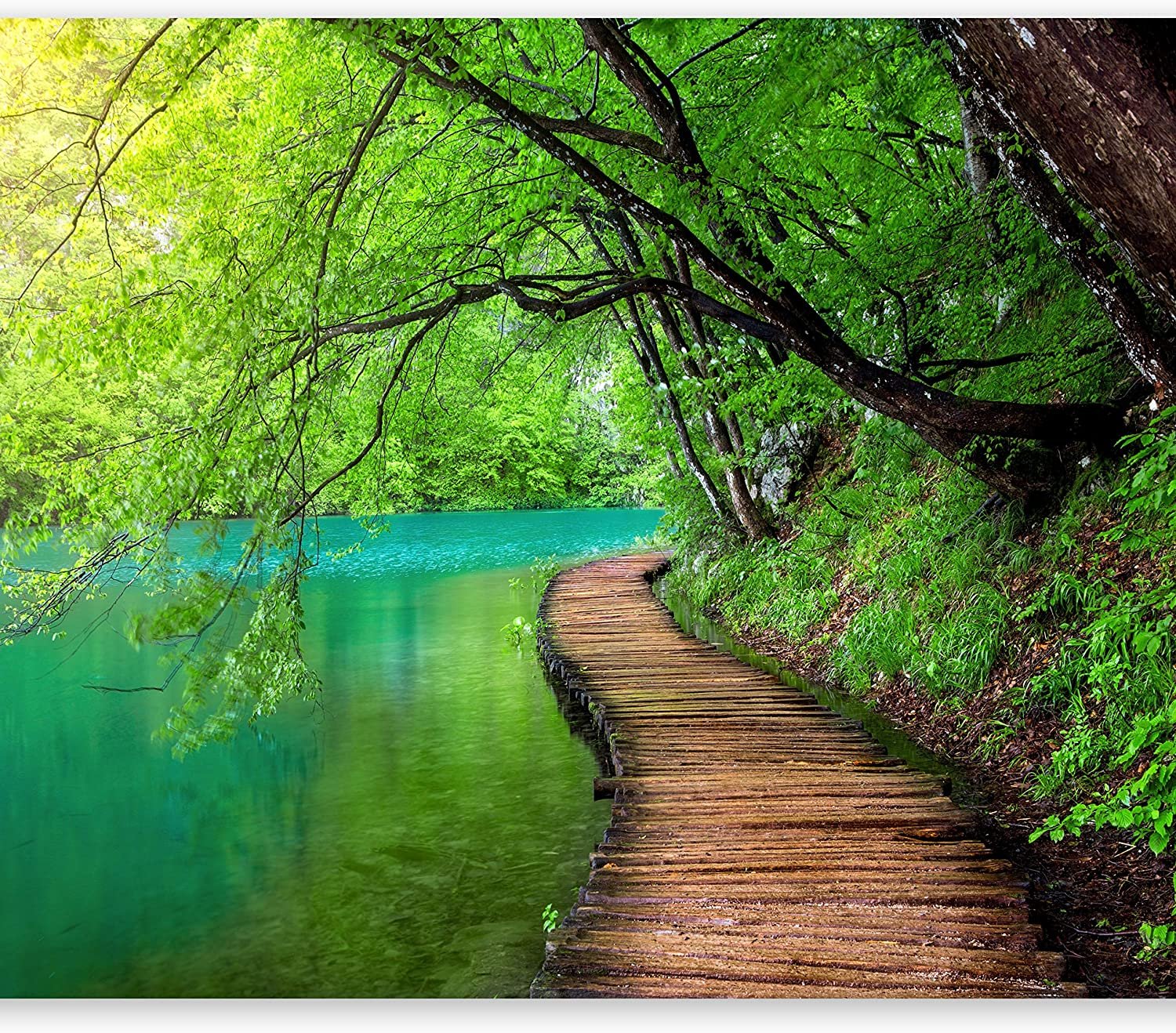 PASEO DE MADERA AL LADO DE UN LAGO